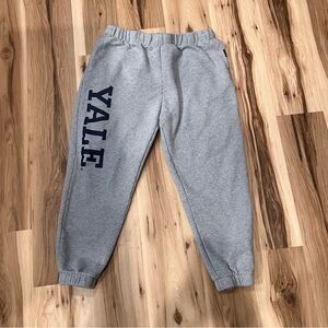 Hype and Vice Yale University Gray Sweatpants 2XL